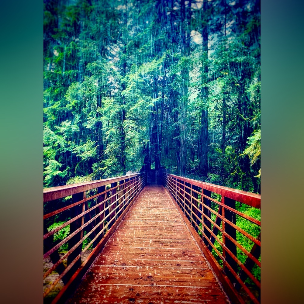 Falling Rain Photographic Print, 8x10 Nature Photography